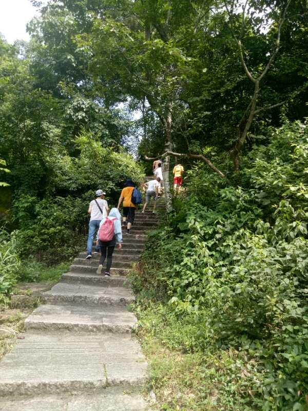 福州英諾科技全體員工于福州國(guó)家森林公園開(kāi)展團(tuán)建活動(dòng)